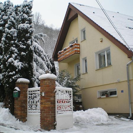 Villa Harmonia Panzio Visegrád Extérieur photo